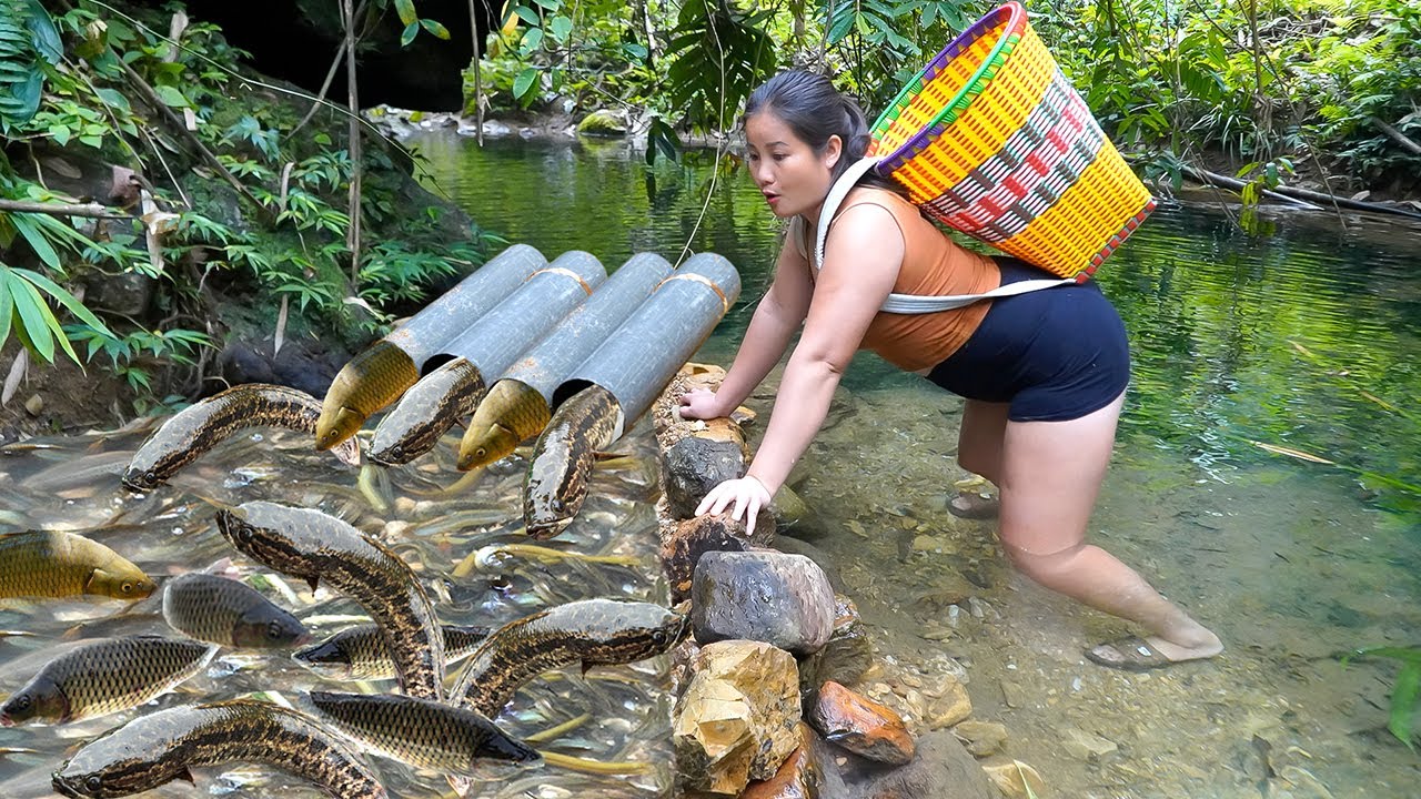 Forest fish trap after one night | A surprise with bread, eggs, and ...