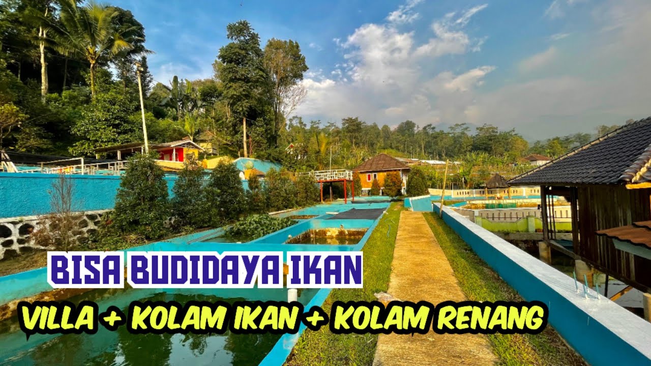 Dijual Rumah Villa Beserta Kolam Budidaya Ikan + Kolam Renang di Daerah Dingin 3624 m2 SHM