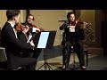 Franz schubert quartettsatz in c  auner quartett