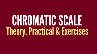 CHROMATIC SCALE Theory & Practical | SINGING LESSONS