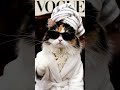 fashion cat #ai短片 #cute #治愈系 #ai短片 #治愈系 #cat #animals #funny #kitten #cutecat #fashion #pets