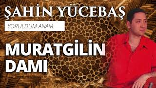 Şahin Yücebaş - Muratgilin Damı Resimi