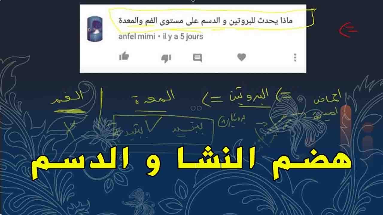 علوم طبيعية الرابعة متوسط هضم النشا و الدسم