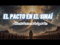 Lección # 8: EL PACTO EN EL SINAÍ. (Diferentes Funciones de la Ley de Dios). Clase de adultos.