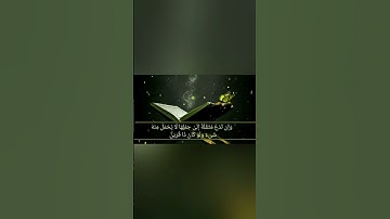 سورة فاطر الفيديو كامل على الصفحه