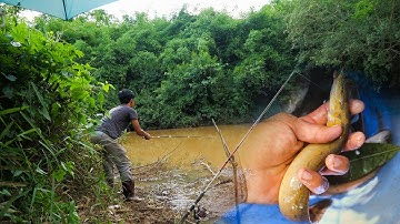 Nhật Ký Câu Dạo - Tập 26: Câu cá suối kiếm bữa ăn mùa dịch✅