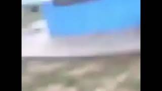 Hxh Kingdom Of Predators Meme