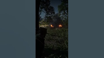 RDR 2 "Proper Use Of Dynamite" #rdr2 #gamingshorts #shorts #gameplay
