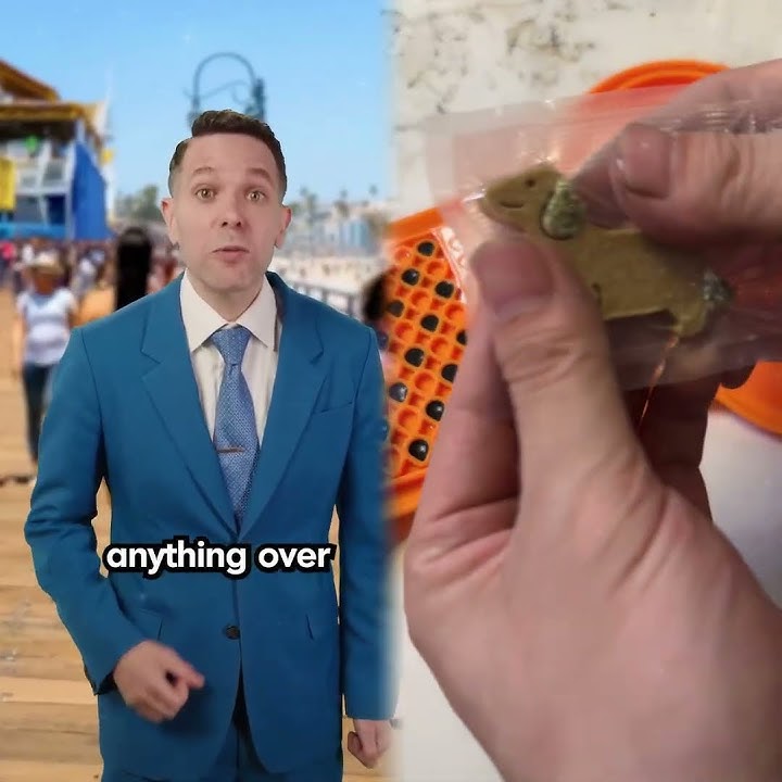 How To Legally Keep Money You Find