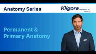 Kilgore International - Anatomy Series For Permanent and Primary Dentition