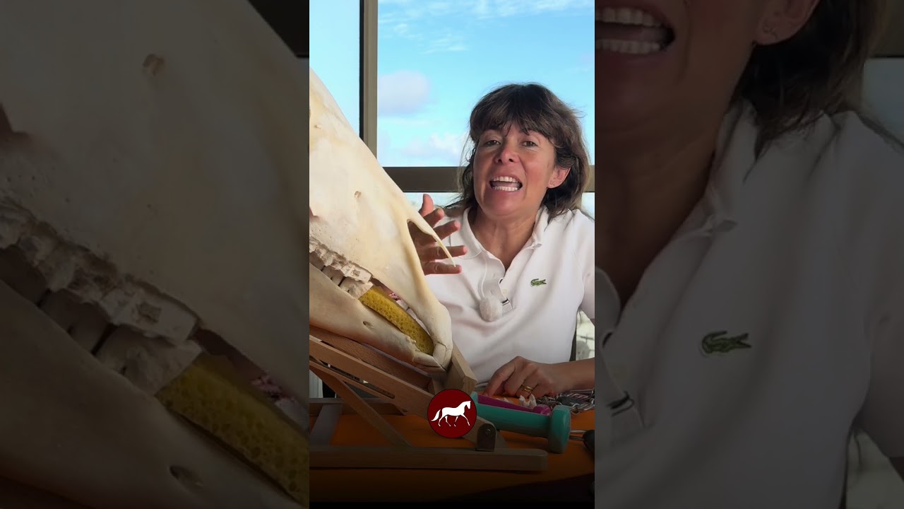 promo corsi imboccature short 