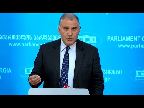 არ არსებობს არგუმენტაცია, რომლის საფუძველზეც ვიტყვით, რომ კანონპროექტს რაიმე წუნი აქვს - სარჯველაძე