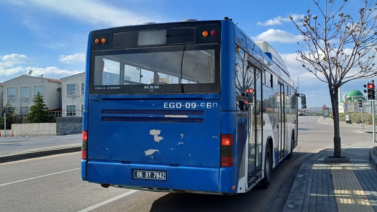 Ego Man Lion's Classic.ZF Sesi ve Difaransiyel sesi.Kod numara 09-660 eski kod 09-248