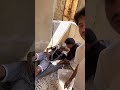 ميدو و الشحتلة انتقموا من أبو راني ميدو و الشحتلة انتقموا من أبو راني