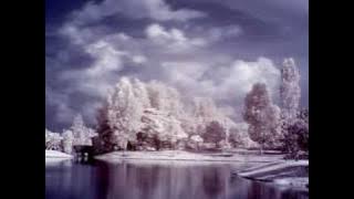 PARADISE - SEIKO MATSUDA