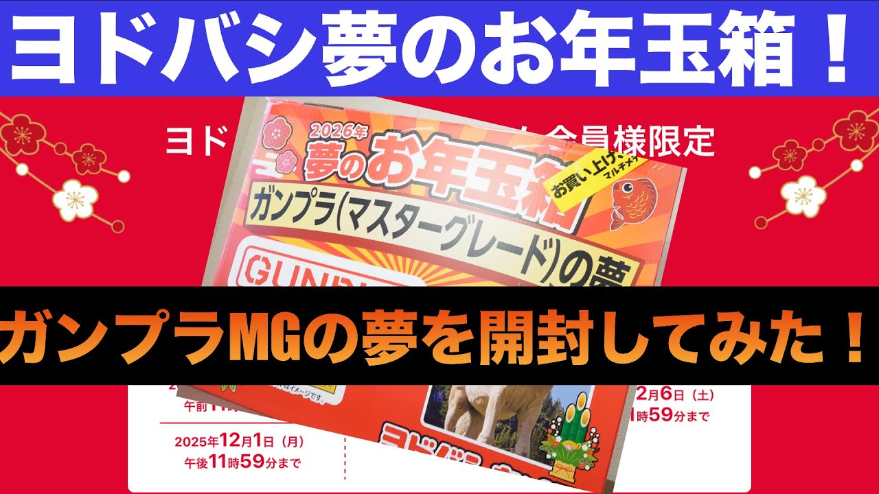 Yodobashi's Dream New Year's Gift Box: Unboxing the Gunpla MG