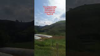 #biblia #deus #jesus #amor #brasil #fé #oração #reflexão #motivacional #shortvideo #shorts #pregação