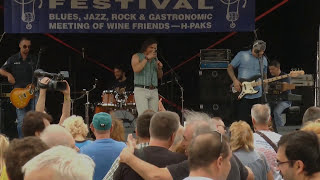 Heep Freedom (Uriah Heep Cover) - Dreamer @ Live at Gastroblues Festival (03.07.2016.)