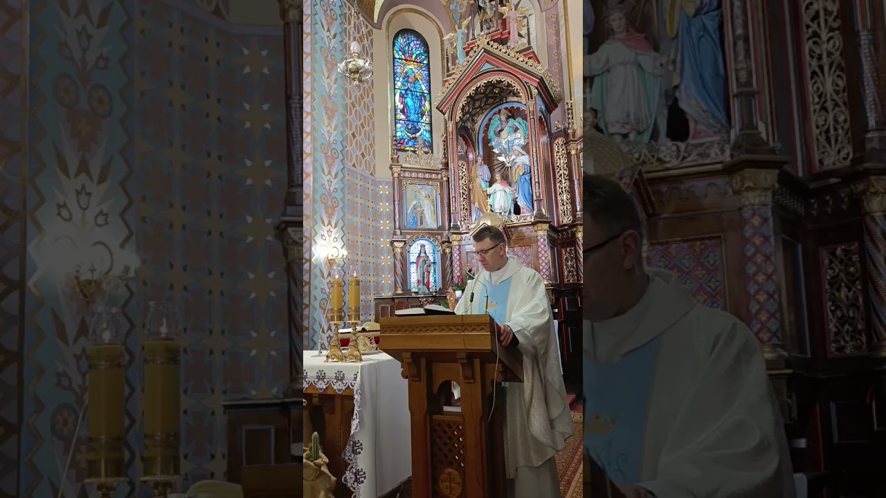 Homilia Pierwszej Soboty Miesiąca marca. Ks.dr Krzysztof Czapla SAC . My nie potępiamy!