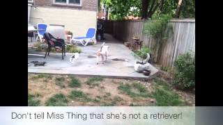 Tek And Miss Thing Fetching Machines