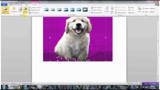 Microsoft Word 2010 features