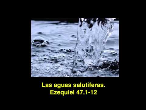 Las aguas salutíferas: Ezequiel 47.1-12