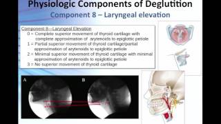 Overview of the 17 Physiologic Components of Swallow Function