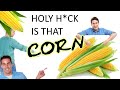 video about corn for that corn meme but its one day late