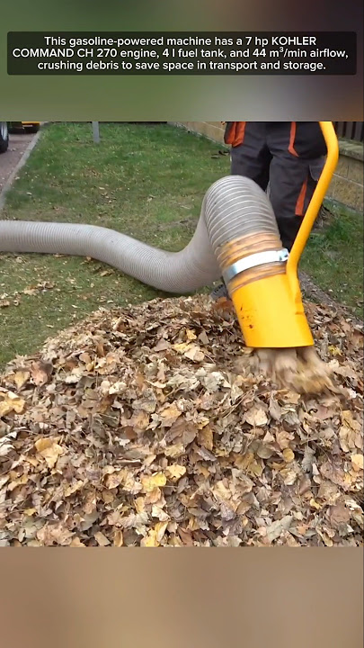 Compact Leaf Vacuum ##❗️❗️
