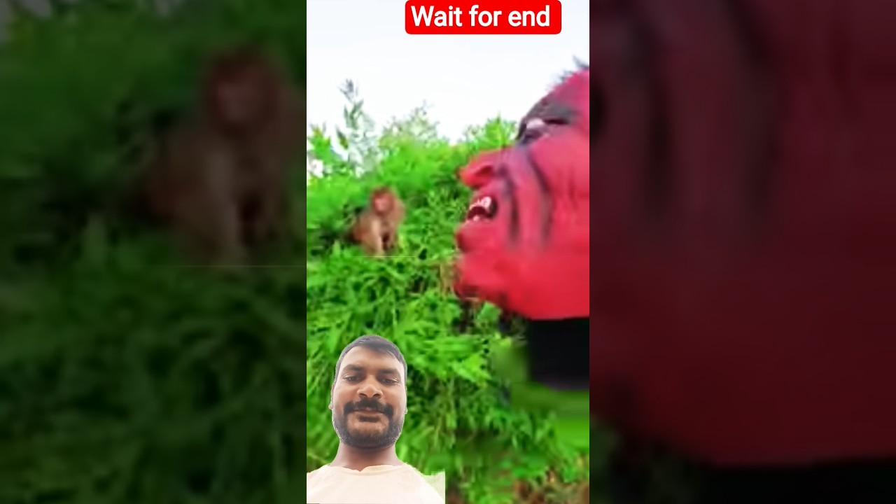 Bandar se Masti ||🐒||