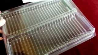 72 Pin Ram Simm Memory Module Plastic Box Esd Packaging Blister Clamshell Tray