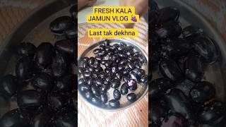 Fresh Kala Jamun Eating Video 🍇 | Nature Vlog India 🌿 | Jai Shree Shyam