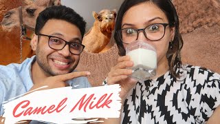 Drinking CAMEL&#39;s MILK for The First Time 🥛🐪