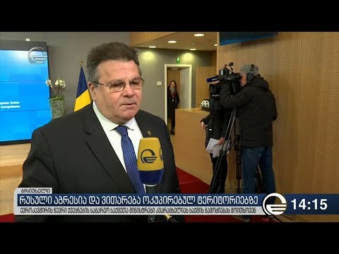 ევროკავშირის წევრი ქვეყნების საგარეო საქმეთა მინისტრები კვარაცხელიას საქმის გამოძიებას მოითხოვენ