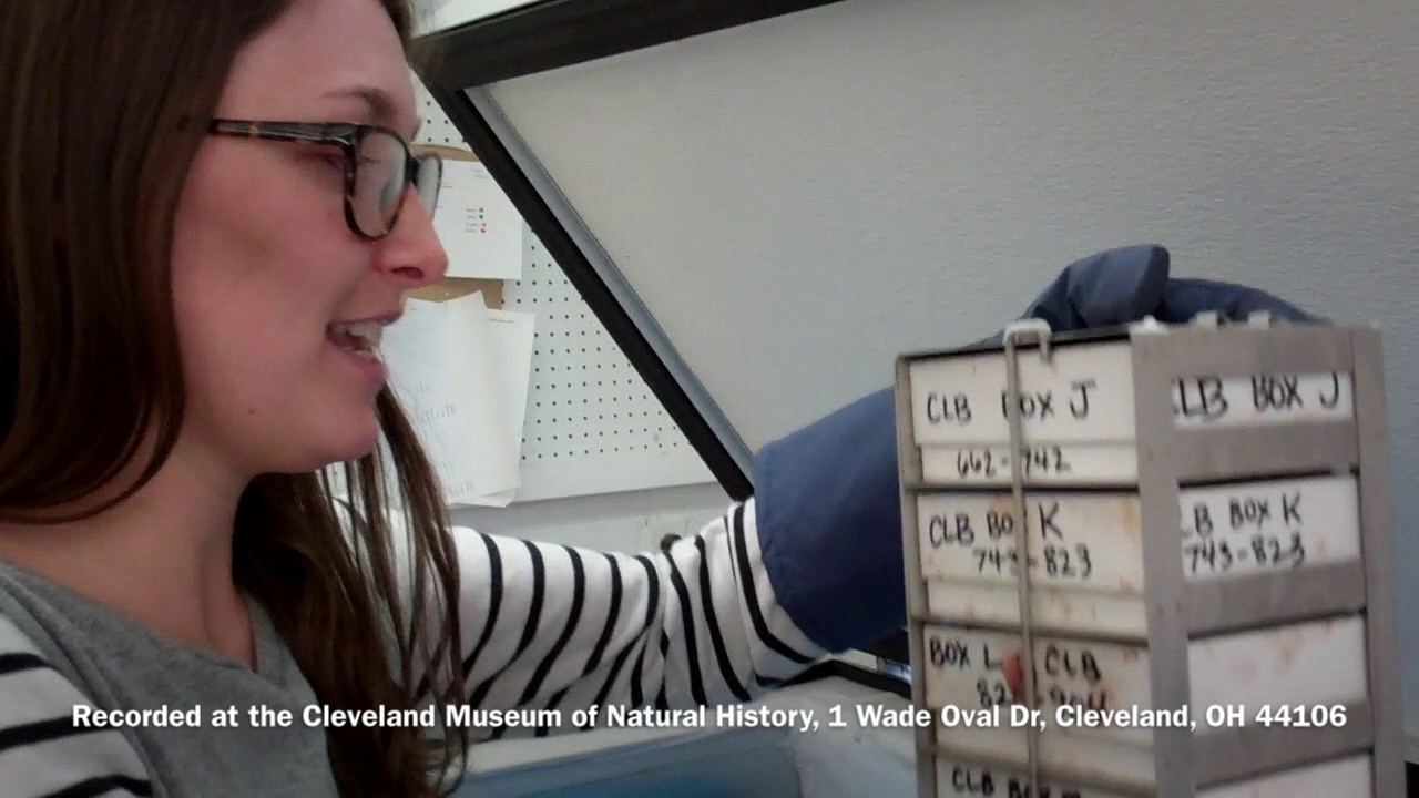 Preparing Ornithological Tissue Samples