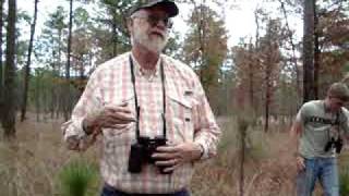 Webb Wildlife Center, SC  Lifecycle of Longleaf Pine