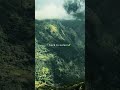 Back to nature #nature #explore #travel #viral #beautiful #relaxing #peace #shorts #fyp #forest #new