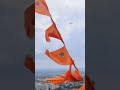 nature #music #phonk #song #trending