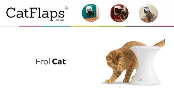 Frolicat Interactive Toys