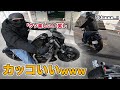 【再会最終回】たまには僕のフォーティーエイトを見て！！！！【XL1200X】【Motovlog】