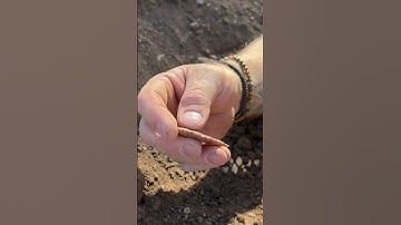 STONE Atlatl Dart Point Discovered #flintknapping #survival #stoneage #status