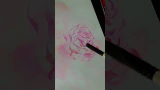 Watercolor painting of a rose from an angled perspective #watercolor #flowers #roses #speedpainting