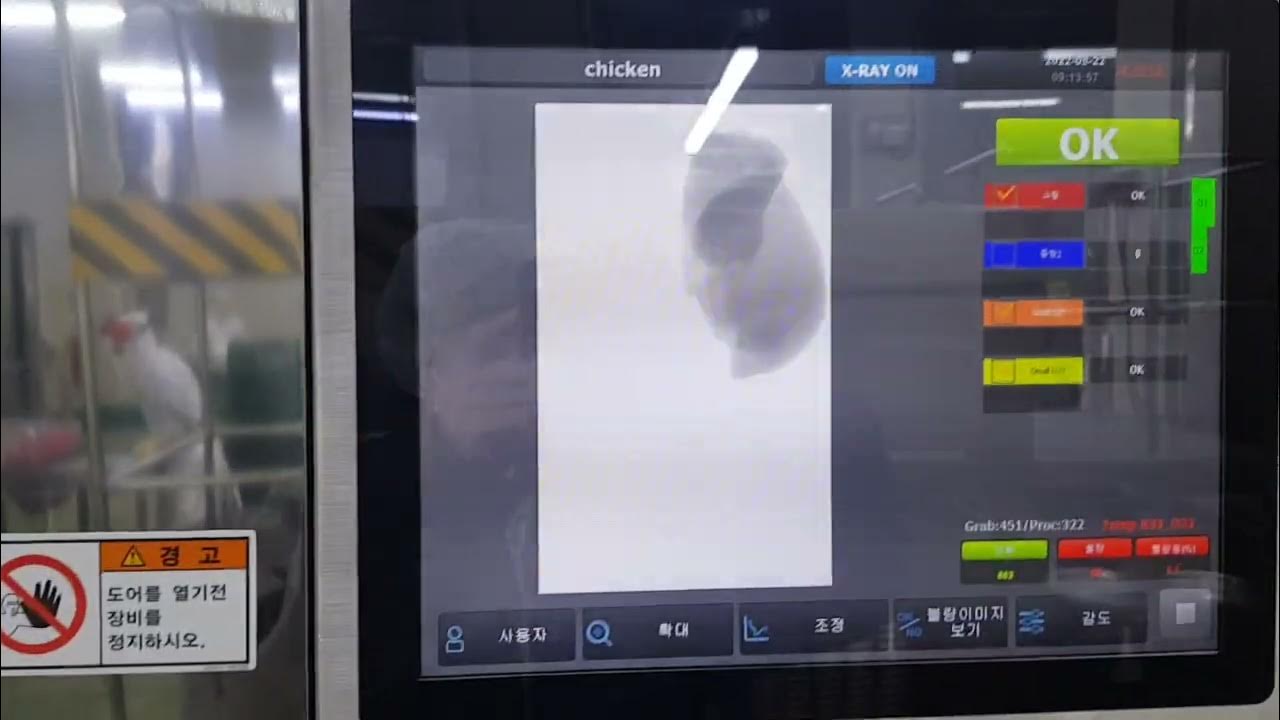 4350G Xray for Chicken Bone Detection YouTube