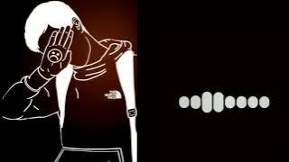 Kiu Roke Aarza Instrumental Ringtone Download link 👇