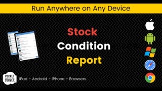 Stock Condition Report | Example Report | PsCloud Stock Condition App screenshot 2