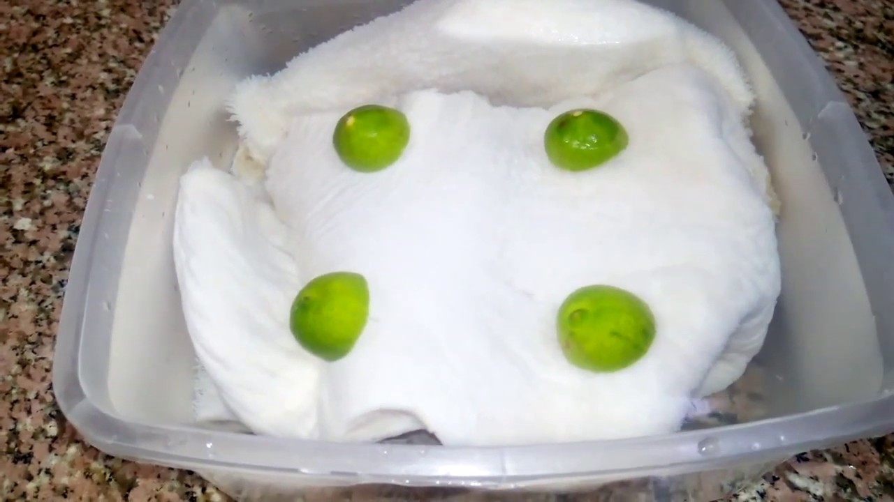 جديد/تنظيف الكرشه/بماء بارد من الحنفيه/بمكون واحد /بسرعه الصاروخ