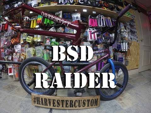 bsd raider