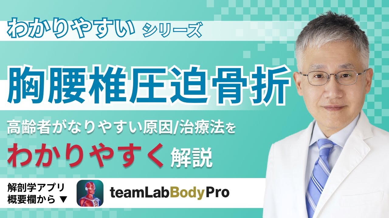 胸腰椎圧迫骨折の話【医師によるわかりやすい解説】