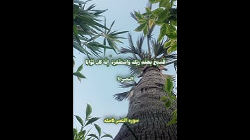 سوره النصر كامله بصوت الشيخ محمد صديق المنشاوي مجود