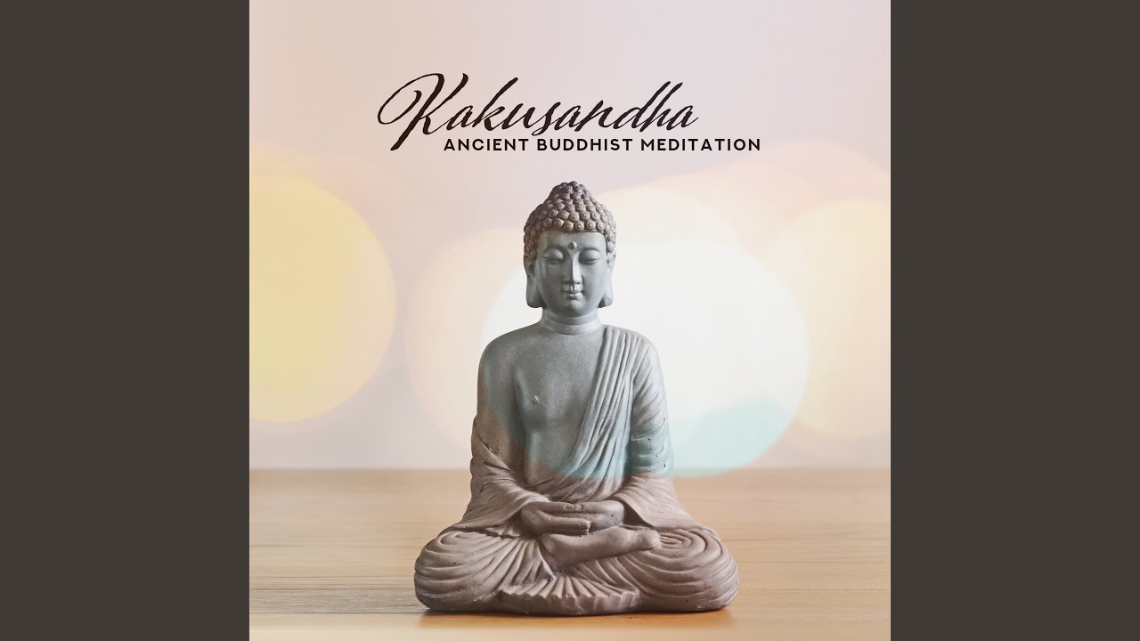 Insight Timer auf YouTube ansehen Insight Timer auf YouTube ansehen